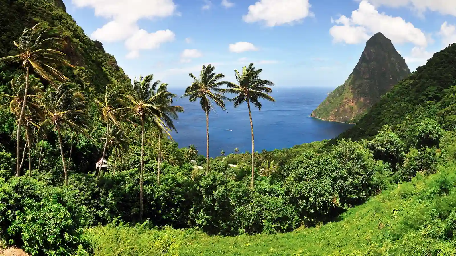 Saint Lucia vatandaşı olmak gittikçe değer kazanan bir kavramdır.