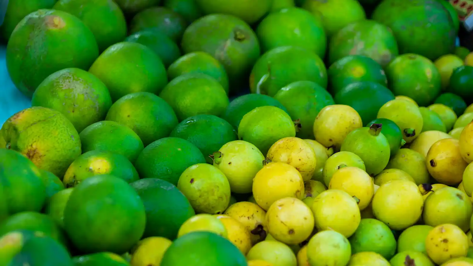Saint Lucia'da alışveriş yapmanın avantajlarını öğrenin.